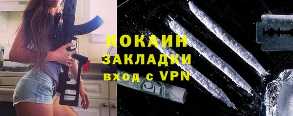 хмурый Бородино
