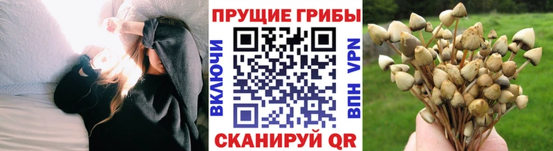 Галлюциногенные грибы MAGIC MUSHROOMS  дарнет шоп  Венёв 