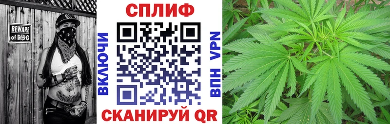 МЕГА ССЫЛКА  Венёв  Канабис White Widow 
